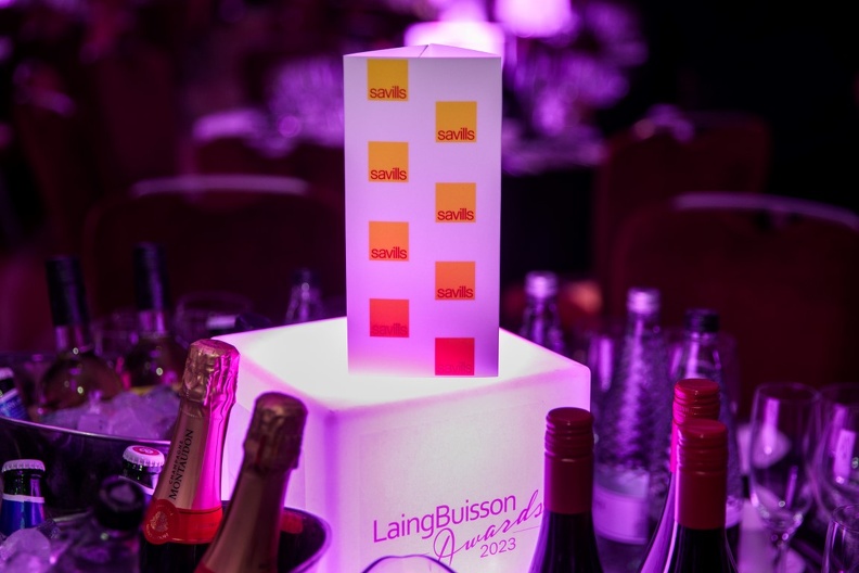 LaingBuisson-Awards-16NOV23-0015 (Medium).jpg