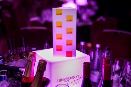 LaingBuisson-Awards-16NOV23-0015 (Medium)