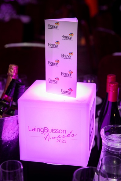 LaingBuisson-Awards-16NOV23-0025 (Medium).jpg