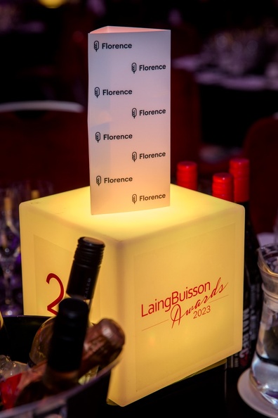 LaingBuisson-Awards-16NOV23-0031 (Medium).jpg