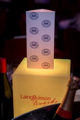 LaingBuisson-Awards-16NOV23-0035 (Medium)