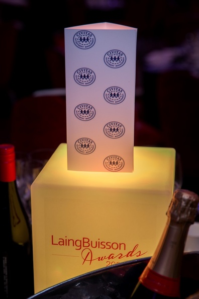 LaingBuisson-Awards-16NOV23-0035 (Medium).jpg