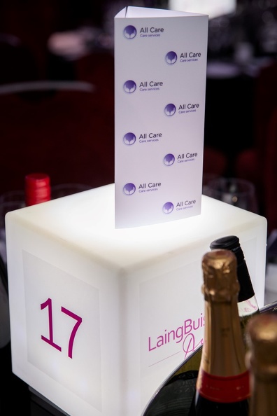 LaingBuisson-Awards-16NOV23-0036 (Medium).jpg