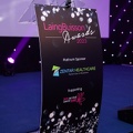 LaingBuisson-Awards-16NOV23-0056 (Medium)
